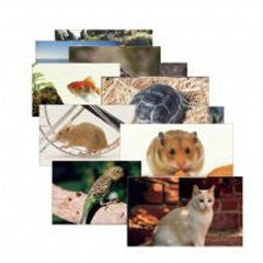 Pets 14 poster cards