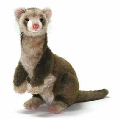 Ferret 12.6" by Hansa