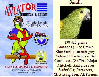 Aviator Harness and Leash Small Red