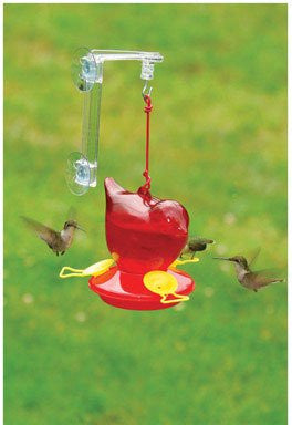 Red Bird Hummingbird Feeder w/Hanger