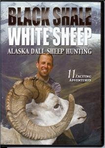 Black Shale/ White Sheep