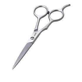 Stainless 2000 Shears 5 1/2"