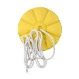 Disc Seat Swing
