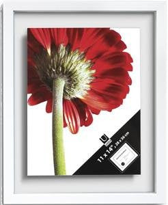 Umbra Document Series 11-Inch-by-14-Inch Frame (Color: White)