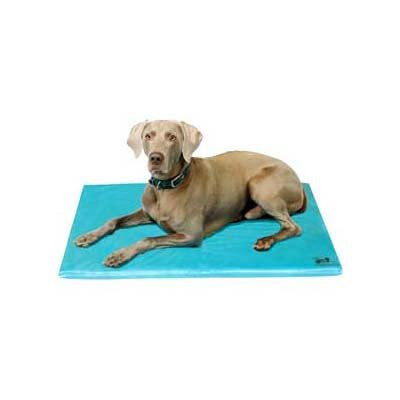 Canine Cooler Pet Bed