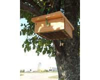 Cedar Upside Down Suet Box
