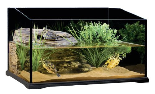 Exo Terra Glass Turtle Terrarium