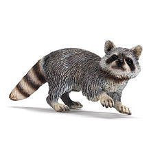 Raccoon