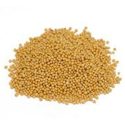Mustard Seed Yellow - Sinapis alba, 1 lb