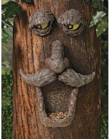 Bird Feeder Tree Face