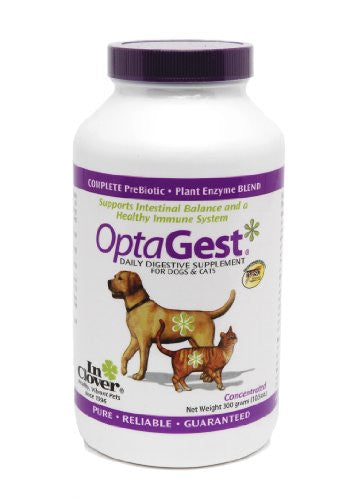 OptaGest Digestive Aid 300 Gram