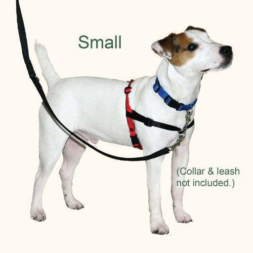 HALTI HARNESS - SMALL