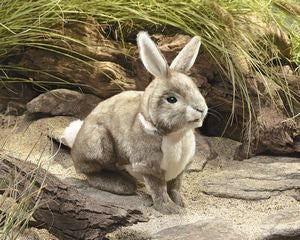 Rabbit Cottontail, Hand Puppets