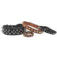 Spike's Collar Chestnut Single-Ply 3/4" x 13"