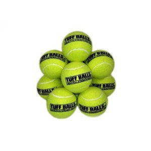 Petsport Tuff Balls Bulk 2.5in