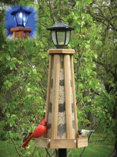 Lighthouse Feeder