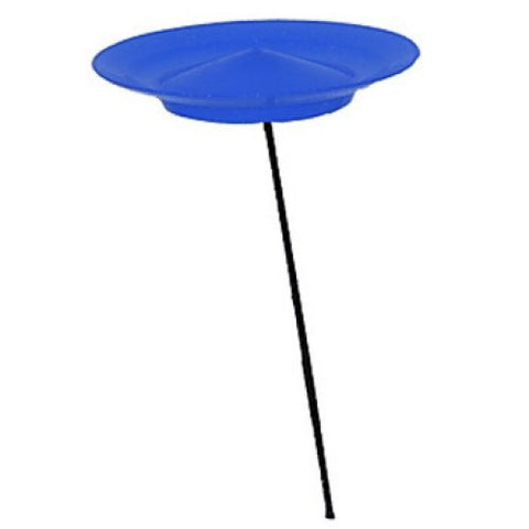 Spinning Plate- Blue