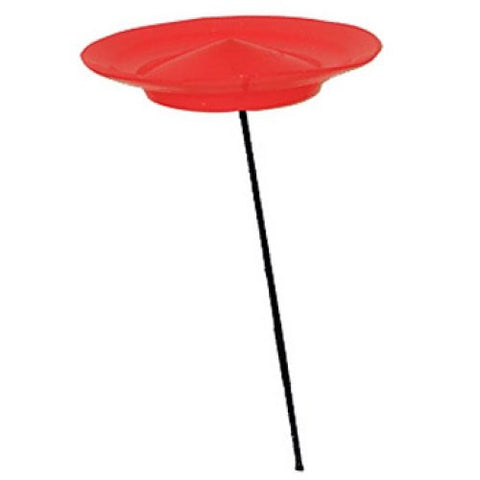 Spinning Plate- Red