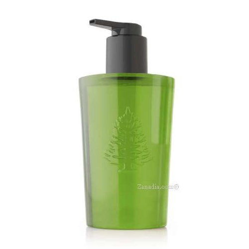 Holiday Thymes Frasier Fir Hand Wash (8.25 oz)