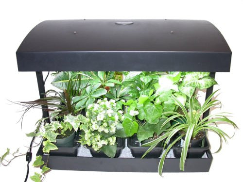 Grow Light Garden