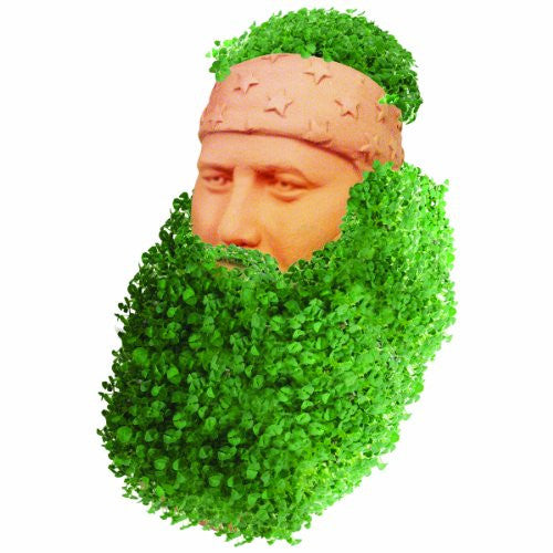 Chia Willie