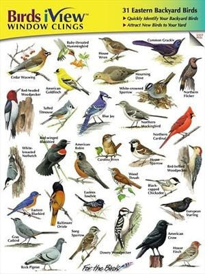 Birds iView Window Clings