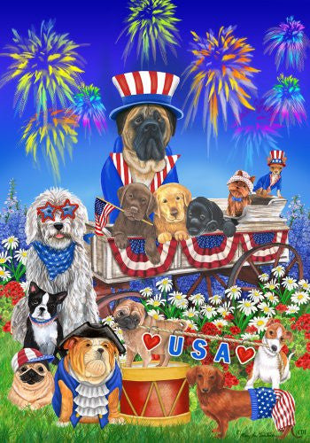 Patriotic USA Firework Star Stripes Dog House Flag