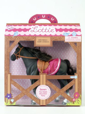 Lottie Seren The Welsh Mountain Pony