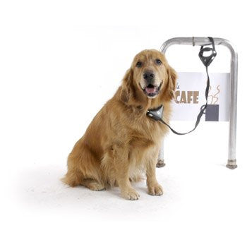 Safespot Locking Leash (Black)