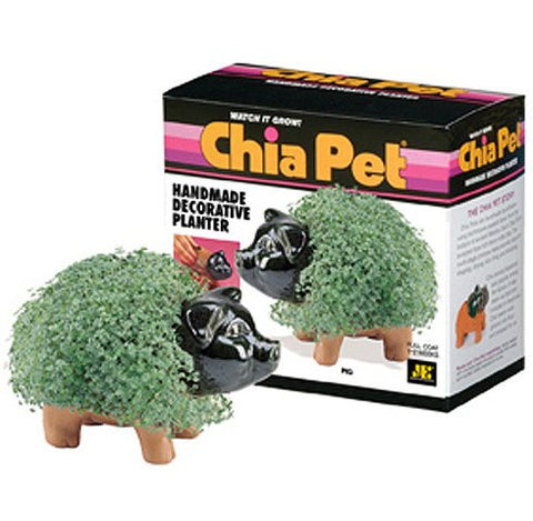 Chia Pig