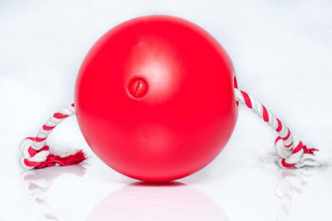 Tuggo, (Tug-o-war) Adjustable Weighted Exercise Dog Toy 10in ball with 4ft Rope (Red)