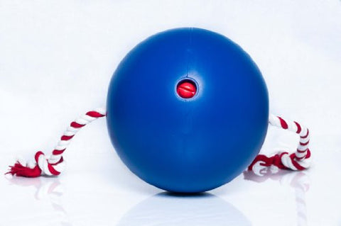 Tuggo, (Tug-o-war) Adjustable Weighted Exercise Dog Toy 10in ball with 4ft Rope (Blue)