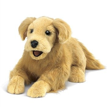 Golden Retriever, Newest Puppets