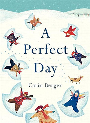 A Perfect Day (Hardcover)