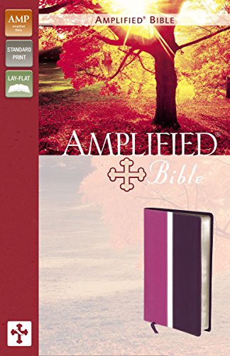 Amplified Bible, Pink/Purple - Leather-look