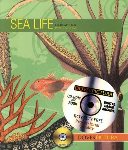 Sea Life Pictura