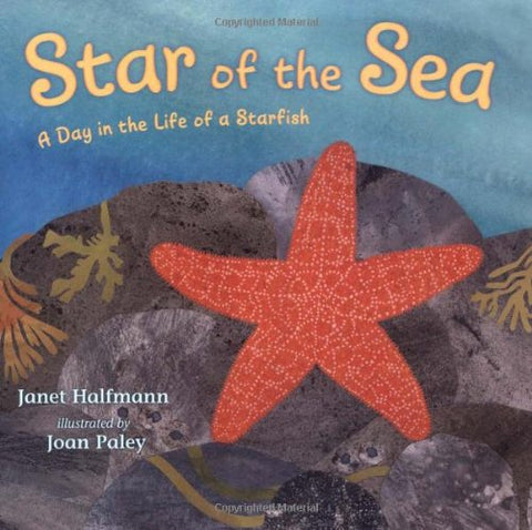 Star of the Sea: A Day in the Life of a Starfish (Hardcover)
