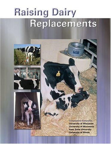 Raising Dairy Replacements