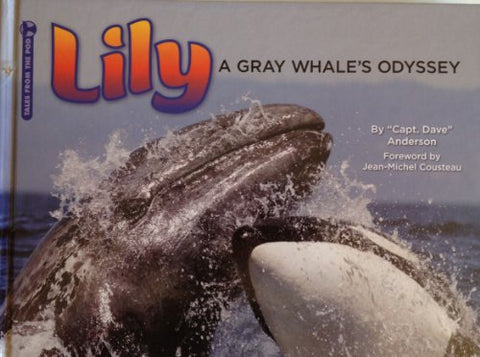 Lily: A Gray Whale's Odyssey - Hardcover