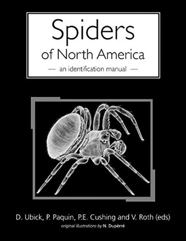 Spiders of North America (Spiral-bound)