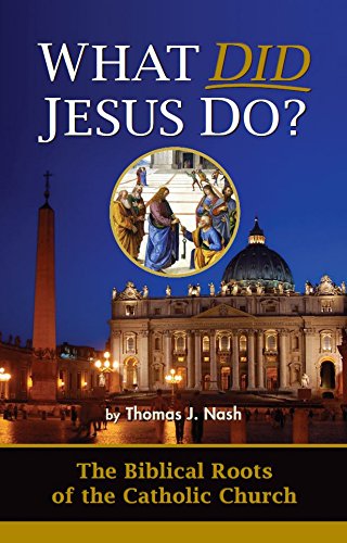 What Did Jesus Do? (Hardcover)