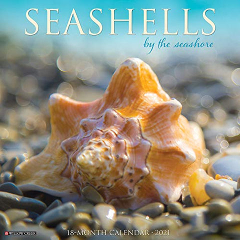 Sea Shells 2021 Wall Calendar, 12" x 12"