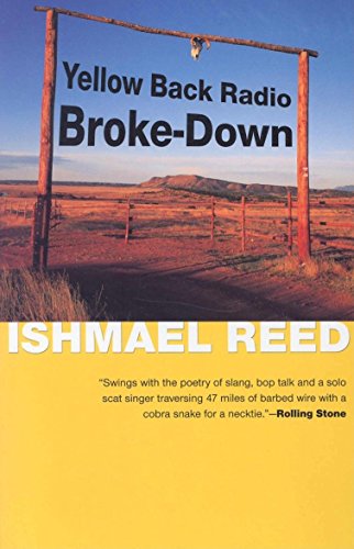 Yellow Back Radio Broke-Down (American Literature (Dalkey Archive)) - Paperback