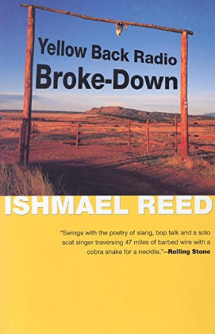 Yellow Back Radio Broke-Down (American Literature (Dalkey Archive)) - Paperback