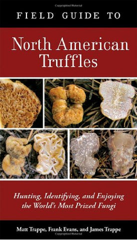 Field Guide to North American Truffles:  Hunting, Identifying, and Enjoying the World's Most Prized Fungi (Paperback)