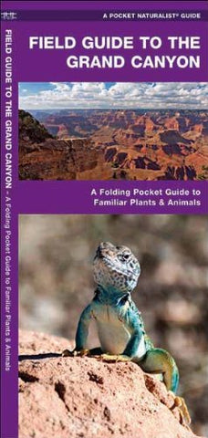 Field Guide Grand Canyon (not in pricelist)