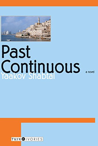 Past Continuous (Paperback)