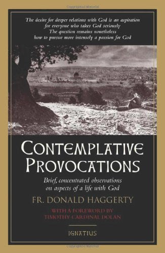 Contemplative Provocations (Paperback)