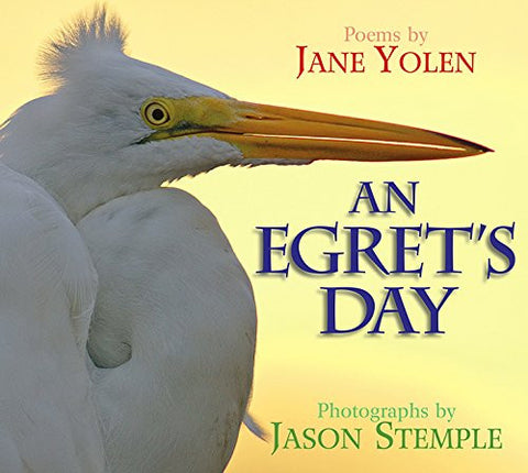 An Egret's Day, Hardcover