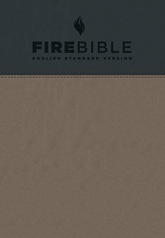 Fire Bible ESV, Gray, Slate flex cover